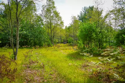 V/L S 142nd Avenue, Rothbury, MI 49452 - Photo 27