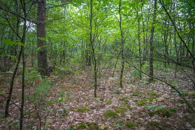 V/L S 142nd Avenue, Rothbury, MI 49452 - Photo 35