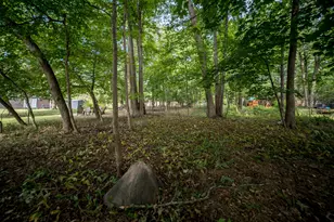 26532 Springfield Dr, Farmington Hills, MI 48334 - Photo 9