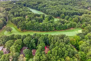 9855 Golf Port Dr N, Canadian Lakes, MI 49346 - Photo 41