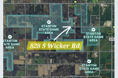 828 S Wicker Road SE, Stanton, MI 48888 - Photo 3