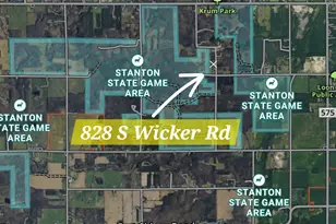 828 S Wicker Road SE, Stanton, MI 48888 - Photo 3