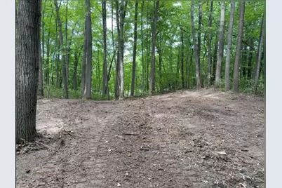 V/L E 88th Street, Howard City, MI 49329 - Photo 5