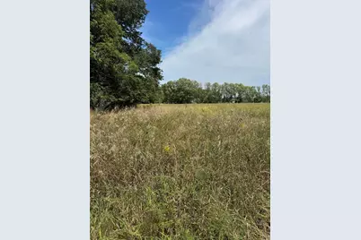 Vl Greenfield Road, Bronson, MI 49028 - Photo 5