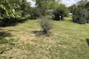319 E Grant St, Hastings, MI 49058 - Photo 19