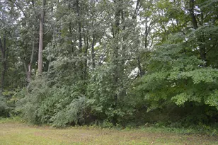 6551 Ann Arbor Rd, Jackson, MI 49201 - Photo 33