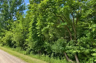 V/L 55th St, Grand Junction, MI 49056 - Photo 1