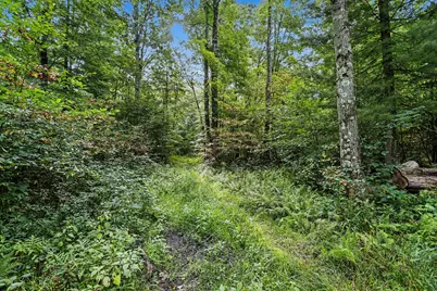 43001 32nd Street, Paw Paw, MI 49079 - Photo 13