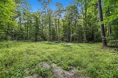 43001 32nd Street, Paw Paw, MI 49079 - Photo 5