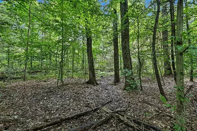 43001 32nd Street, Paw Paw, MI 49079 - Photo 11