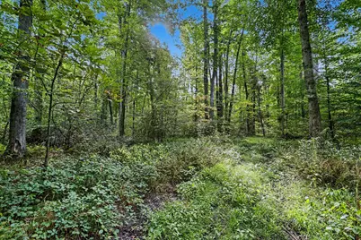 43001 32nd Street, Paw Paw, MI 49079 - Photo 21