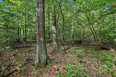 43001 32nd Street, Paw Paw, MI 49079 - Photo 19