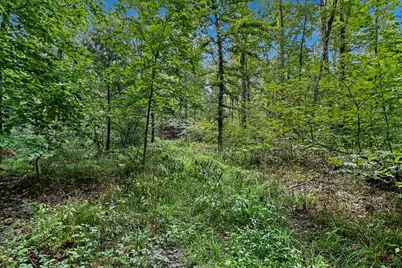 43001 32nd Street, Paw Paw, MI 49079 - Photo 17