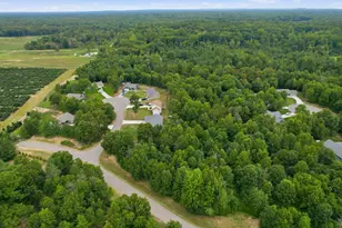 919 Armintrout Rdg Ct, Allegan, MI 49010 - Photo 45