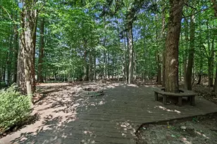 6664 W Timber Ln, Ludington, MI 49431 - Photo 49