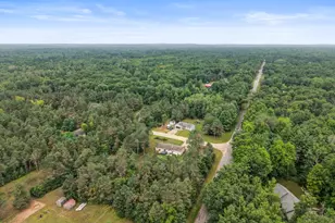 7472 Rolling Pines Dr, Howard City, MI 49329 - Photo 35