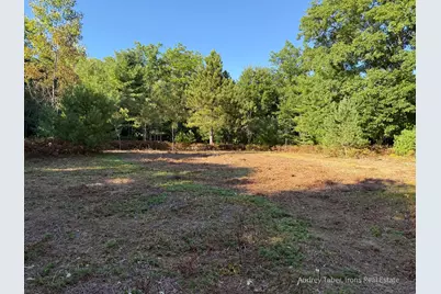 Par 1 & 5 Clements Road, Kaleva, MI 49645 - Photo 29