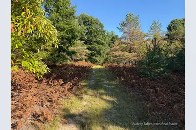 Par 1 & 5 Clements Road, Kaleva, MI 49645 - Photo 37