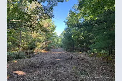 Par 1 & 5 Clements Road, Kaleva, MI 49645 - Photo 3