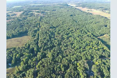Par 1 & 5 Clements Road, Kaleva, MI 49645 - Photo 25