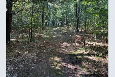 Par 1 & 5 Clements Road, Kaleva, MI 49645 - Photo 45