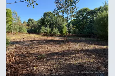 Par 1 & 5 Clements Road, Kaleva, MI 49645 - Photo 31