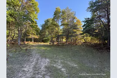Par 2 Clements Road, Kaleva, MI 49645 - Photo 19