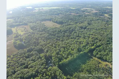 Par 2 Clements Road, Kaleva, MI 49645 - Photo 45