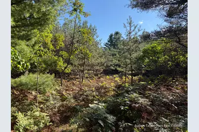 Par 3 Clements Road, Kaleva, MI 49645 - Photo 13