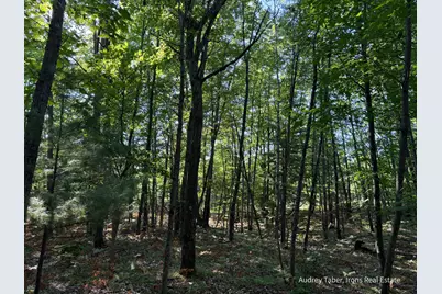 Par 3 Clements Road, Kaleva, MI 49645 - Photo 21