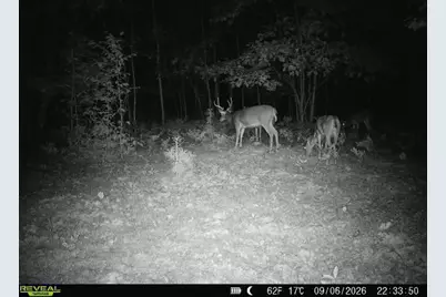 Par 3 Clements Road, Kaleva, MI 49645 - Photo 35