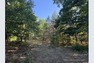 Par 3 Clements Road, Kaleva, MI 49645 - Photo 17