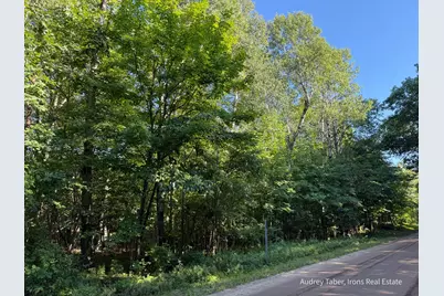 Par 3 Clements Road, Kaleva, MI 49645 - Photo 29