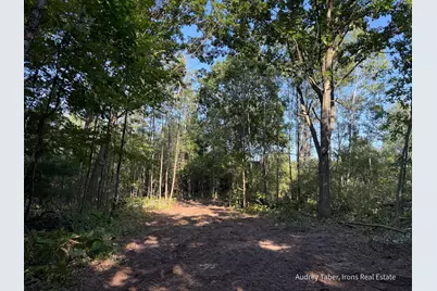 Par 3 Clements Road, Kaleva, MI 49645 - Photo 3