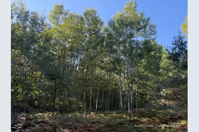 Par 3 Clements Road, Kaleva, MI 49645 - Photo 27