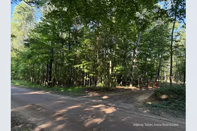 Par 3 Clements Road, Kaleva, MI 49645 - Photo 31