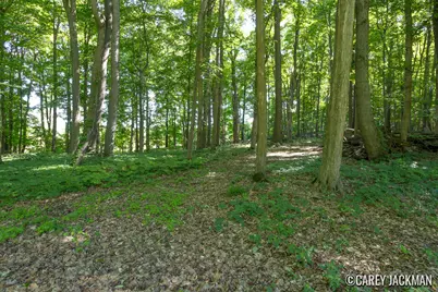 2111 Woodley Creek Court NW, Comstock Park, MI 49321 - Photo 37