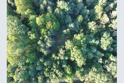 Par 4 Clements Road, Kaleva, MI 49645 - Photo 25