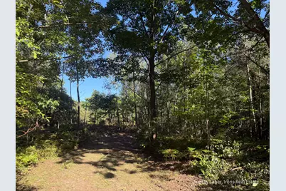 Par 4 Clements Road, Kaleva, MI 49645 - Photo 3