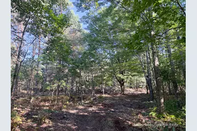 Par 4 Clements Road, Kaleva, MI 49645 - Photo 5