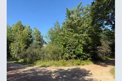 Par 4 Clements Road, Kaleva, MI 49645 - Photo 21