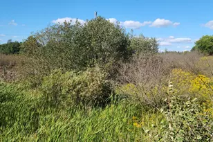 00 18 Mile Rd, Leroy, MI 49655 - Photo 1