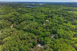 12336 Lone Wolf Dr, Canadian Lakes, MI 49346 - Photo 47
