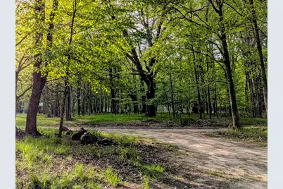 6779 S Woods Trail, Custer, MI 49405 - Photo 53