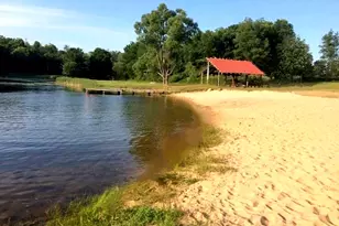 6779 S Woods Trail, Custer, MI 49405 - Photo 49