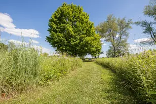 10725 Jerusalem Rd, Chelsea, MI 48118 - Photo 75