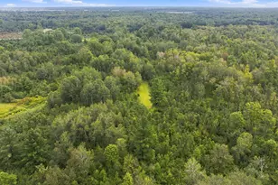 2646 S National City Rd, National City, MI 48748 - Photo 89