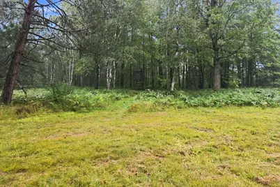 2646 S National City Road, National City, MI 48748 - Photo 105