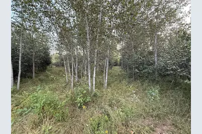 3379 Hehir Trail, Grayling, MI 49738 - Photo 27