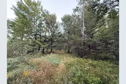 3379 Hehir Trail, Grayling, MI 49738 - Photo 11